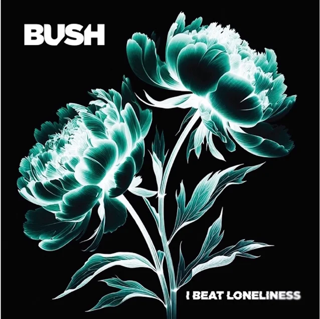 bushibeatloneliness