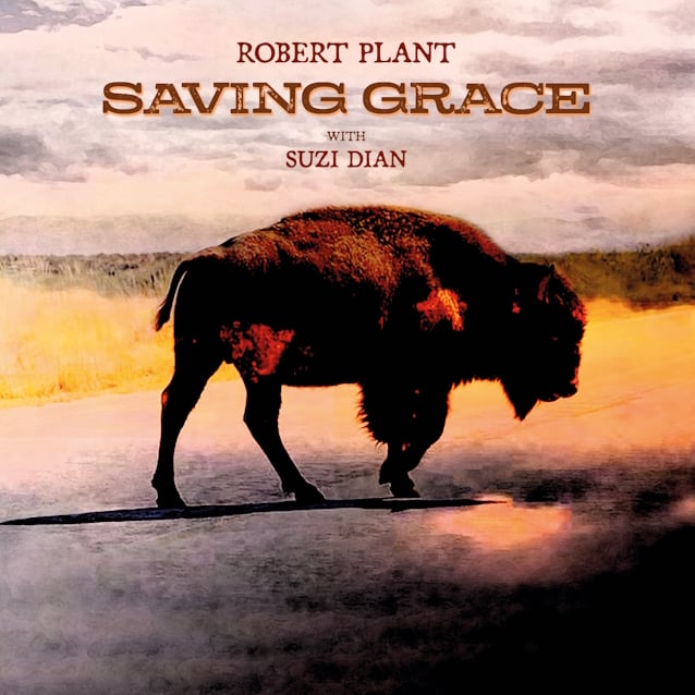 robertplantsavinggracelp